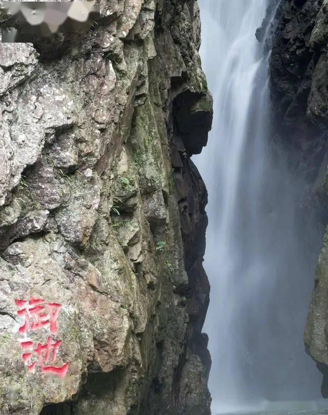 植物大战僵尸15
